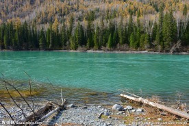 喀纳斯地质公园