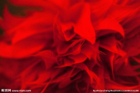 红色背景