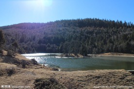 普达措森林公园