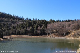 普达措森林公园