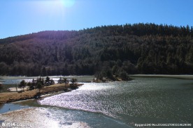 普达措森林公园