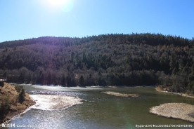 普达措森林公园