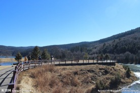 普达措森林公园