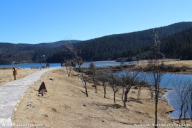 普达措森林公园