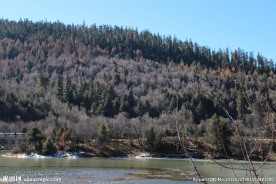 普达措森林公园