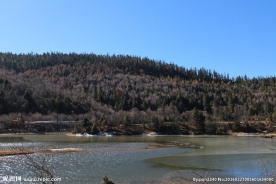 普达措森林公园