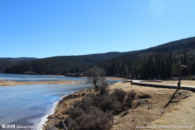 普达措森林公园