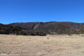 普达措森林公园