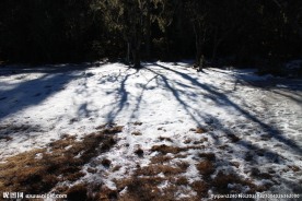 普达措森林公园