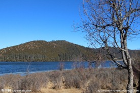 普达措森林公园