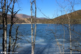 普达措森林公园