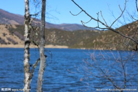 普达措森林公园