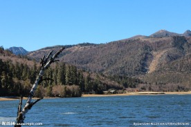 普达措森林公园