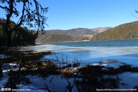 普达措森林公园