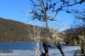 普达措森林公园