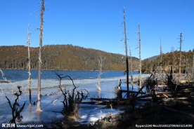 普达措森林公园