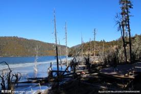 普达措森林公园