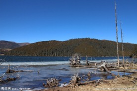 普达措森林公园