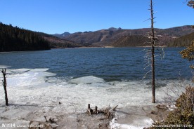 普达措森林公园