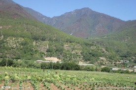 普达措森林公园