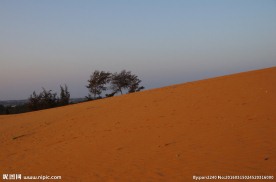 越南美奈沙漠