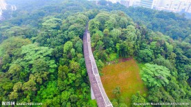 新加坡空中观景栈道