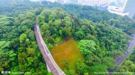 新加坡空中观景栈道