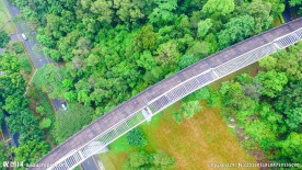 新加坡空中观景栈道