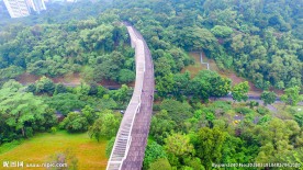新加坡空中观景栈道