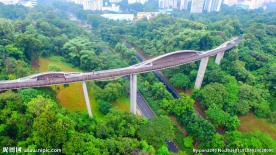 新加坡空中观景栈道