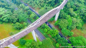 新加坡空中观景栈道