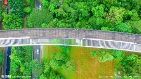 新加坡空中观景栈道