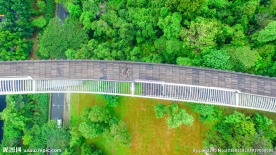 新加坡空中观景栈道