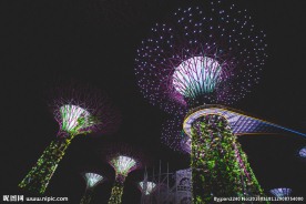 新加坡夜景