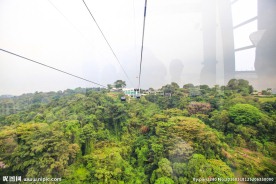 新加坡园林景观