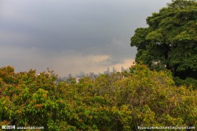 新加坡园林景观