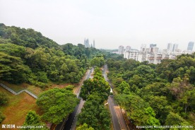 新加坡滨海植物园