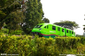 新加坡观光列车