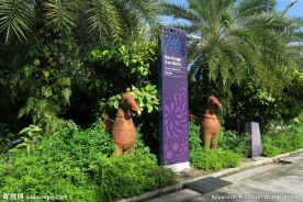 新加坡滨海植物园