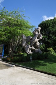 新加坡滨海植物园