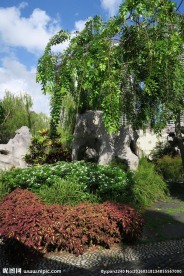 新加坡滨海植物园