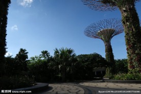 新加坡滨海植物园