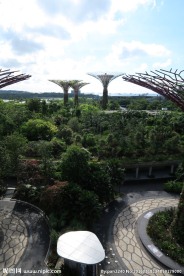 新加坡滨海植物园