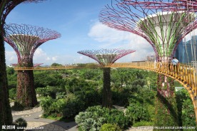 新加坡滨海植物园