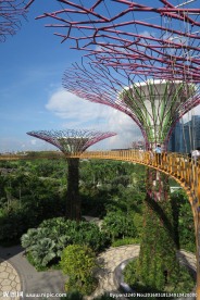新加坡滨海植物园