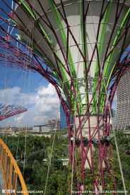 新加坡滨海植物园