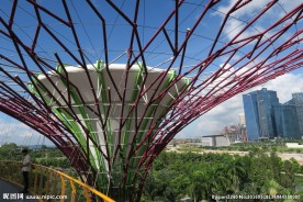新加坡滨海植物园