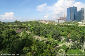 新加坡滨海植物园