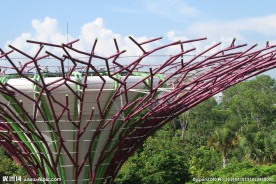 新加坡滨海植物园
