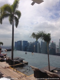 新加坡金沙空中花园泳池